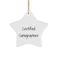Certified Sonographer Gifts, Funny Star Ornament for Sonographers, Christmas Unique Gifts from Friends to Family - Image 1
