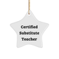 Funny Certified Substitute Teacher Star Ornament Gifts from Friends to Substitutes, 'You're a Star!' for Christmas - Image 1