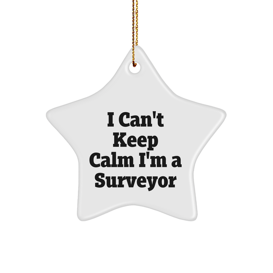 Funny Surveyor Gifts for Friends, 'I Can't Keep Calm I'm A Surveyor' Star Ornament from Family, for Surveyor Enthusiasts, Christmas Unique Gifts - Image 1