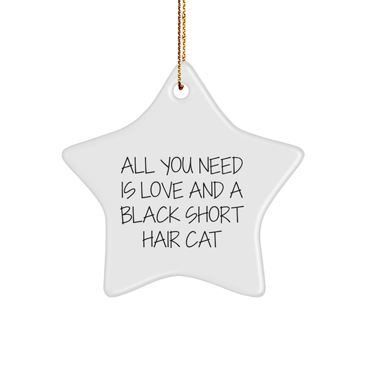Black Short Hair Cat Lover's Star Ornament Gifts from Family to Friends - All You Need Is Love - Image 1