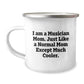 Christmas Unique Gifts for Musician Mom - Funny Musician Camping Mug, Gifts from Family, Friends, Musician Men, Women - Image 1