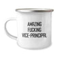 Funny Vice-principal Gifts from Friends for Men, Vice-principal Love Christmas Unique Mugs, Amazing F--king Vice-principal Ceramic Camping Mug, Vice-principal Office Humor - Image 1