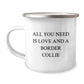 Gifts for Border Collie Dog Lovers - Camping Mug with Quote 'All You Need Is Love And A Border Collie' - Funny Birthday Unique Gift from Friends or Family - Image 1