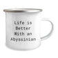 Funny Abyssinian Cat Gifts from Friends to Graduates - Camping Mug with Life Is Better With An Abyssinian Quote, Gifts for Abyssinian Cat Lovers, Men, Women, Family - Image 2