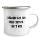 Funny Mail Carrier Gifts from Family Members for Mail Carrier Men - Because I Am The Mail Carrier. That's Why. Christmas Unique Mugs for Camping Lovers - Image 2