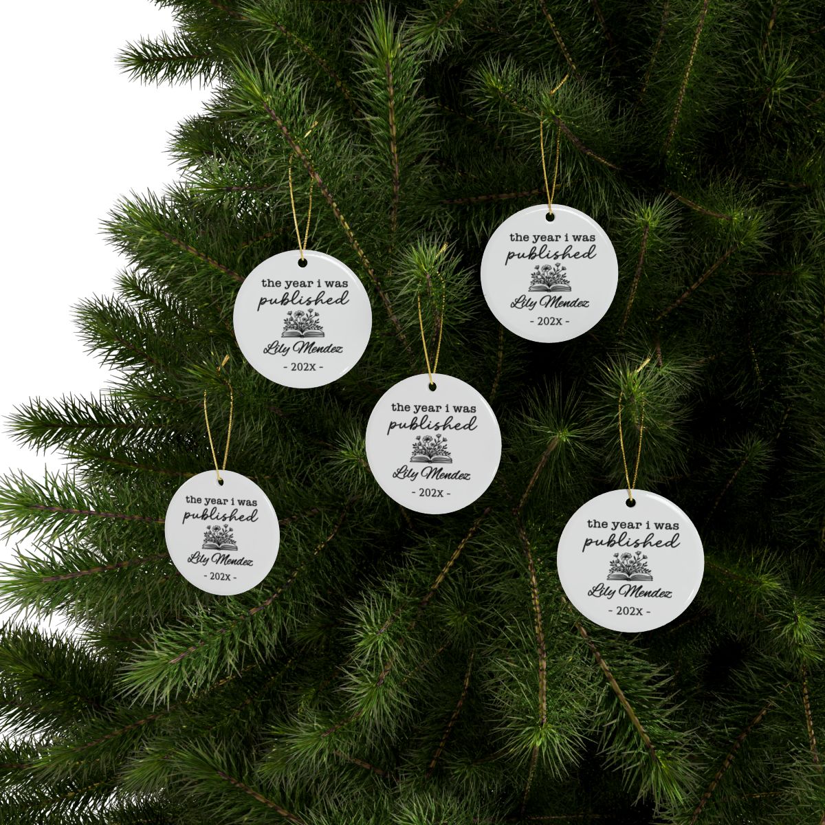 Personalized Author Plaque, The Year I Was Published, Custom Published Author Gift, New Writer Keepsake, Bestselling Book, Literary Gift