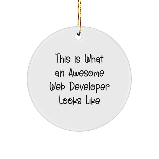 Funny Web Developer Gifts for Men, Web Developer Christmas Unique Gifts from Friends, 'This Is What An Awesome Web Developer Looks Like' Circle Ornament - Image 1