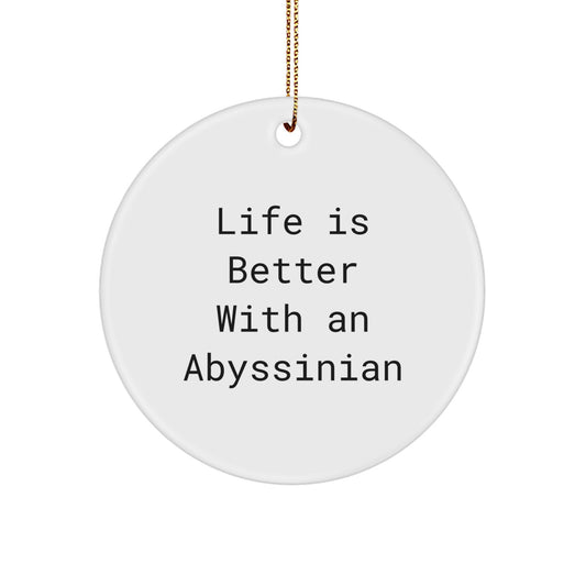 Abyssinian Cat Lovers' Delight, Funny Quote Circle Ornament, Gifts from Family, Friends, or Coworkers for Abyssinian Cat Enthusiasts, Christmas Unique Gifts - Image 1
