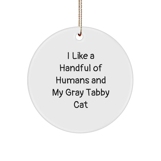 Funny Gray Tabby Cat Gifts from Friends and Family - I Like A Handful Of Humans And My Gray Tabby Cat Circle Ornament for Christmas Decorations - Image 1