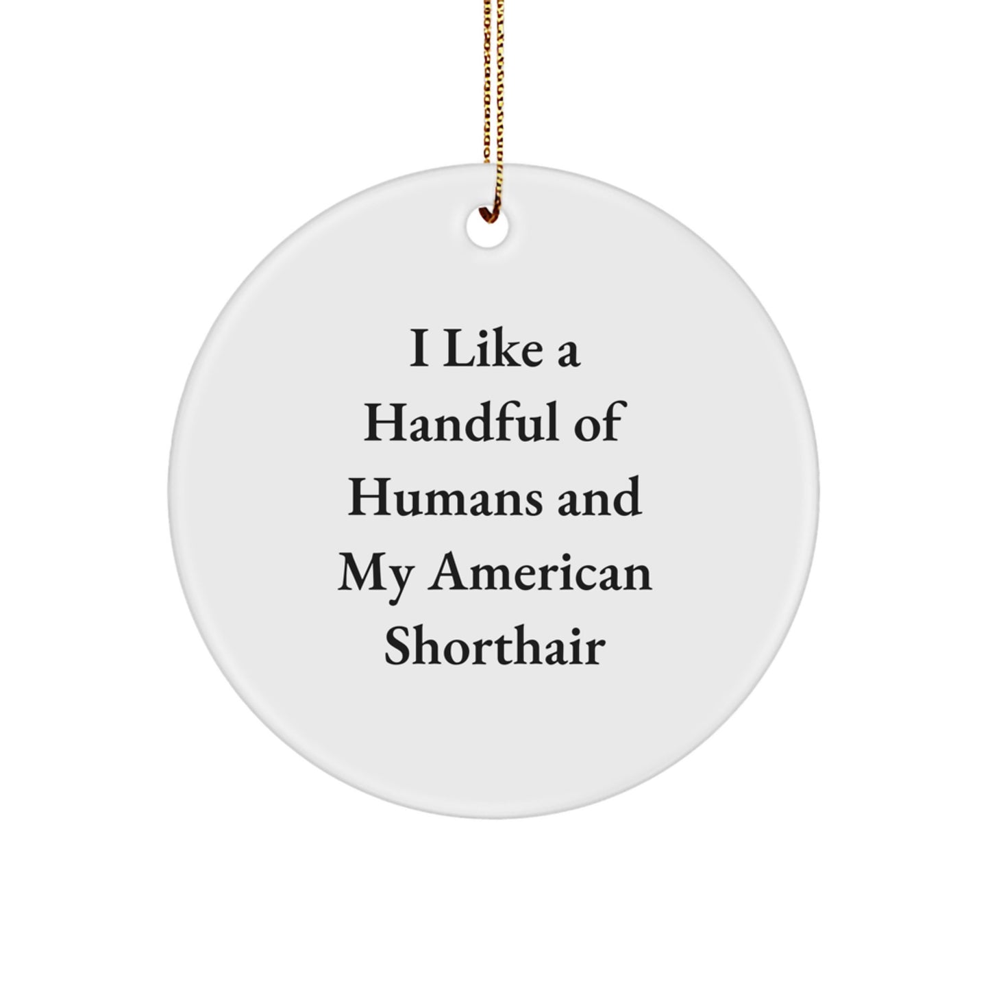 American Shorthair Cat Gifts, Funny Quote Circle Ornament, Gifts from Friends for Cat Lovers, Christmas Unique Gifts - Image 1