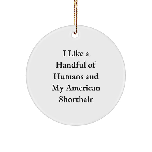 American Shorthair Cat Gifts, Funny Quote Circle Ornament, Gifts from Friends for Cat Lovers, Christmas Unique Gifts - Image 1