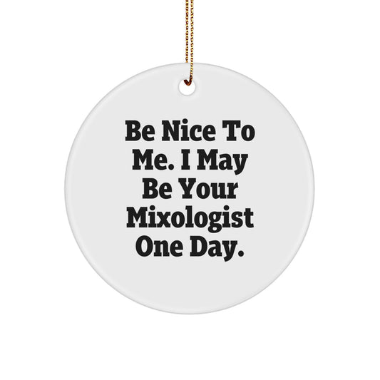 Funny Gifts from Friends for Mixologist - Christmas Unique Circle Ornament - Be Nice To Me I May Be Your Mixologist One Day - Perfect for Bar Bartender Home Decor - Image 1