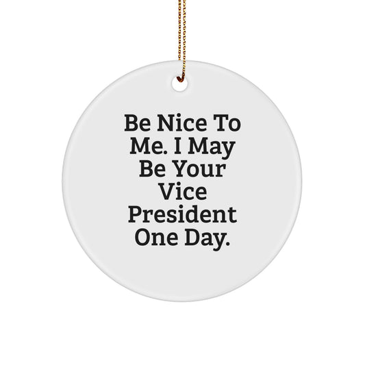 Funny Vice President Circle Ornament Gifts from Coworkers - Be Nice to Me. I May Be Your VP One Day. - Christmas Unique Gifts - Image 1