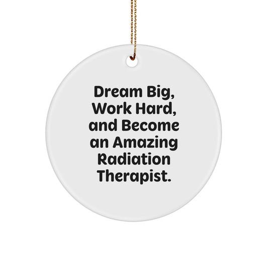 Inspirational Radiation Therapist Circle Ornaments for Christmas Unique Gifts from Friends to Amazing Radiation Therapist, 'Dream Big Work Hard' Quote - Image 1