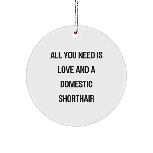 Funny Domestic Shorthair Cat Gifts for Women, Cute Circle Ornament for Men Friends Family, Gifts from Women, All You Need Is Love And A Domestic Shorthair Christmas Unique Decorations - Image 1