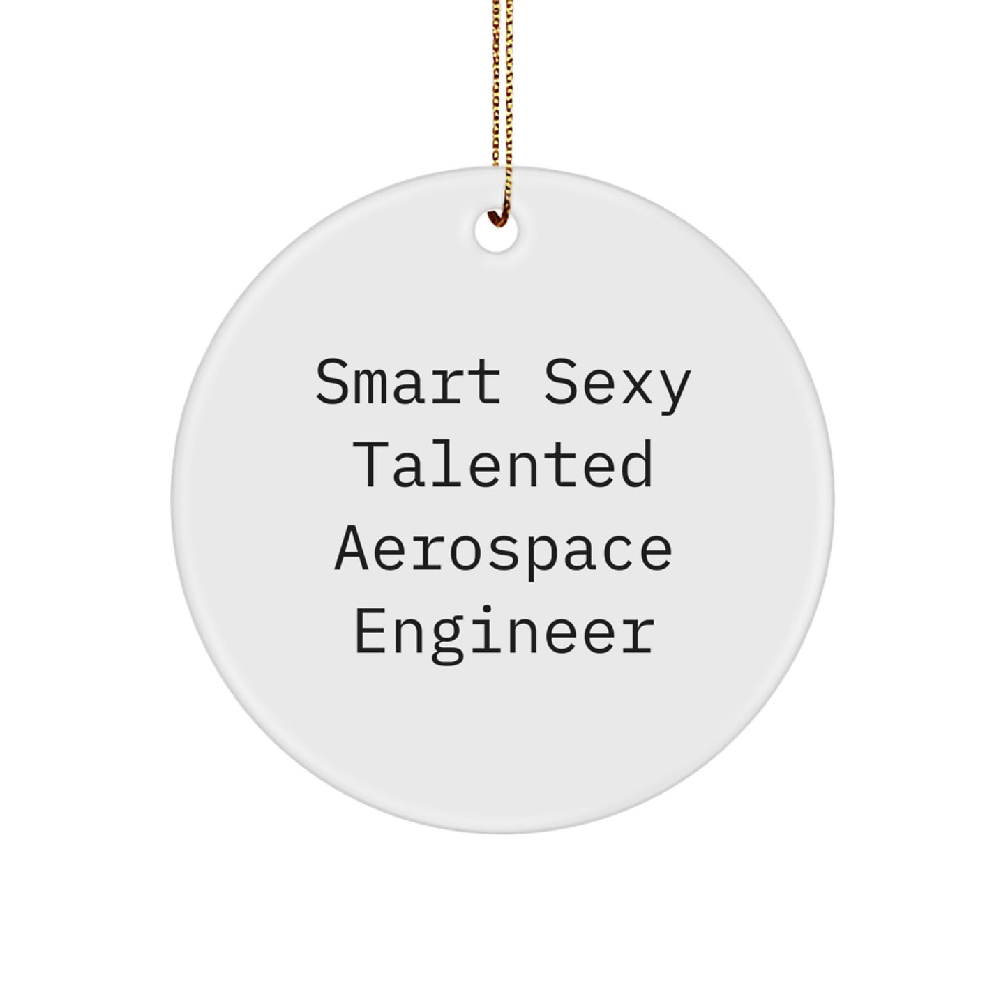 Funny 'Smart Sexy Talented' Aerospace Engineer Circle Ornament Gifts from Friends Coworkers to Aerospace Engineer Men Women - Image 1