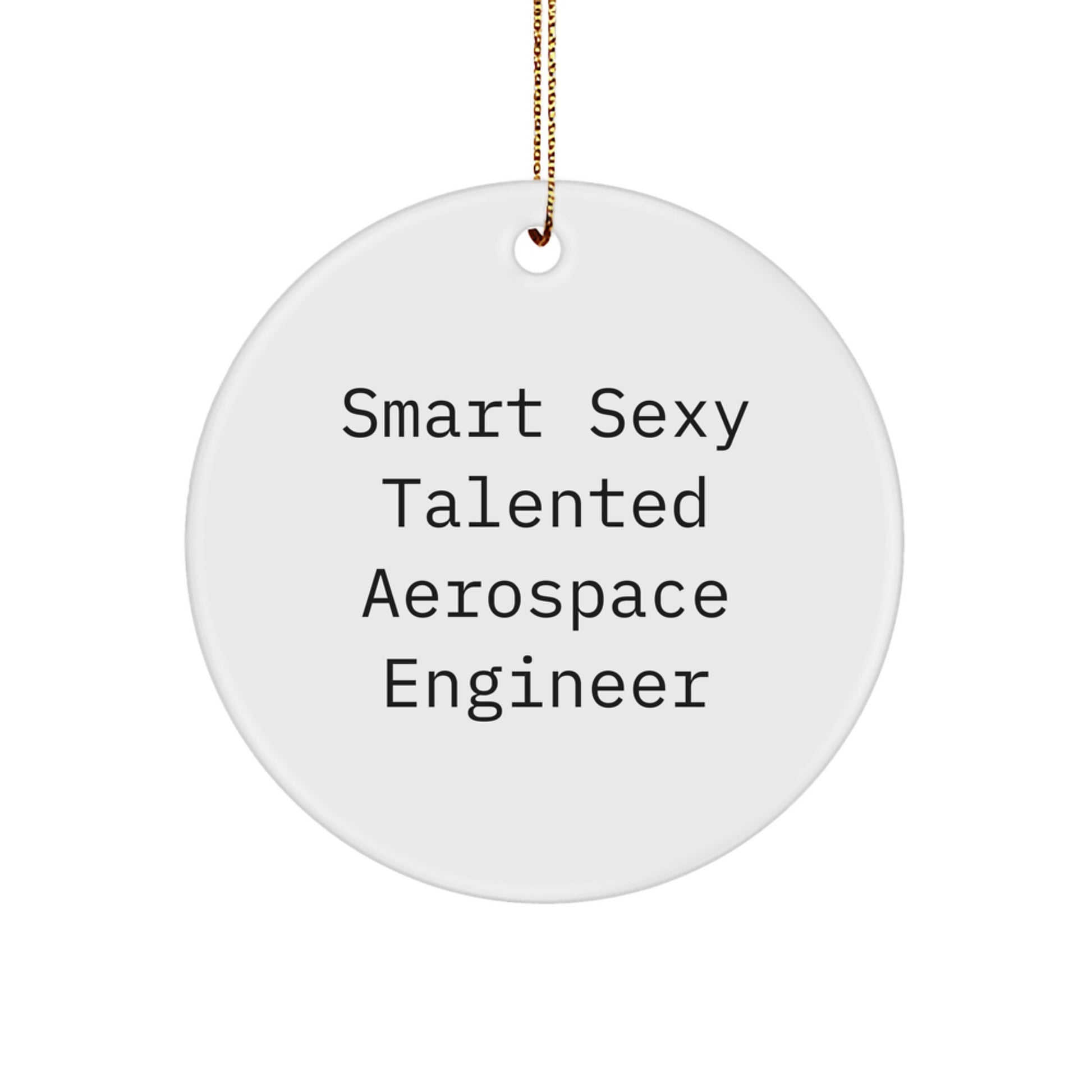 Funny 'Smart Sexy Talented' Aerospace Engineer Circle Ornament Gifts from Friends Coworkers to Aerospace Engineer Men Women - Image 1