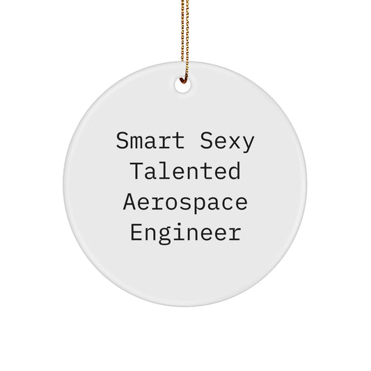 Funny 'Smart Sexy Talented' Aerospace Engineer Circle Ornament Gifts from Friends Coworkers to Aerospace Engineer Men Women - Image 1