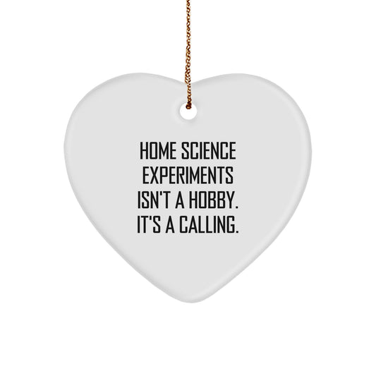 Home Science Experiments Gifts from Family for Christmas Unique Heart Ornament, 'Home Science Experiments Isn't A Hobby. It's A Calling.' Quote, Durable MDF Material, Vibrant Colors - Image 1