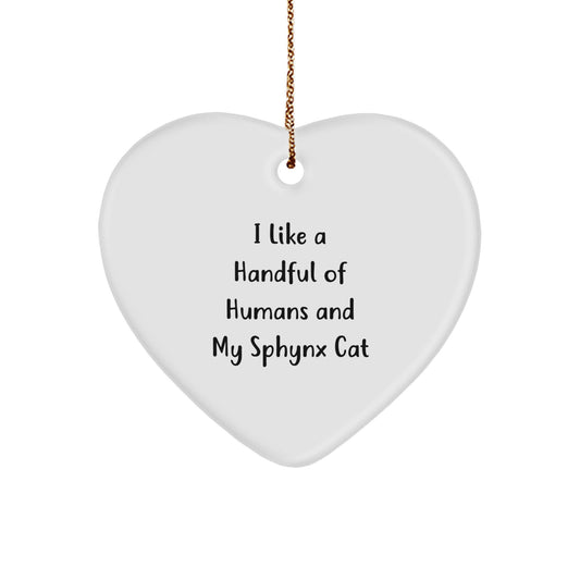 Sphynx Cat Lover Gifts for Men from Women, Heart Ornament with Funny Quote, Christmas Unique Gifts for Sphynx Cat Owners - Image 1
