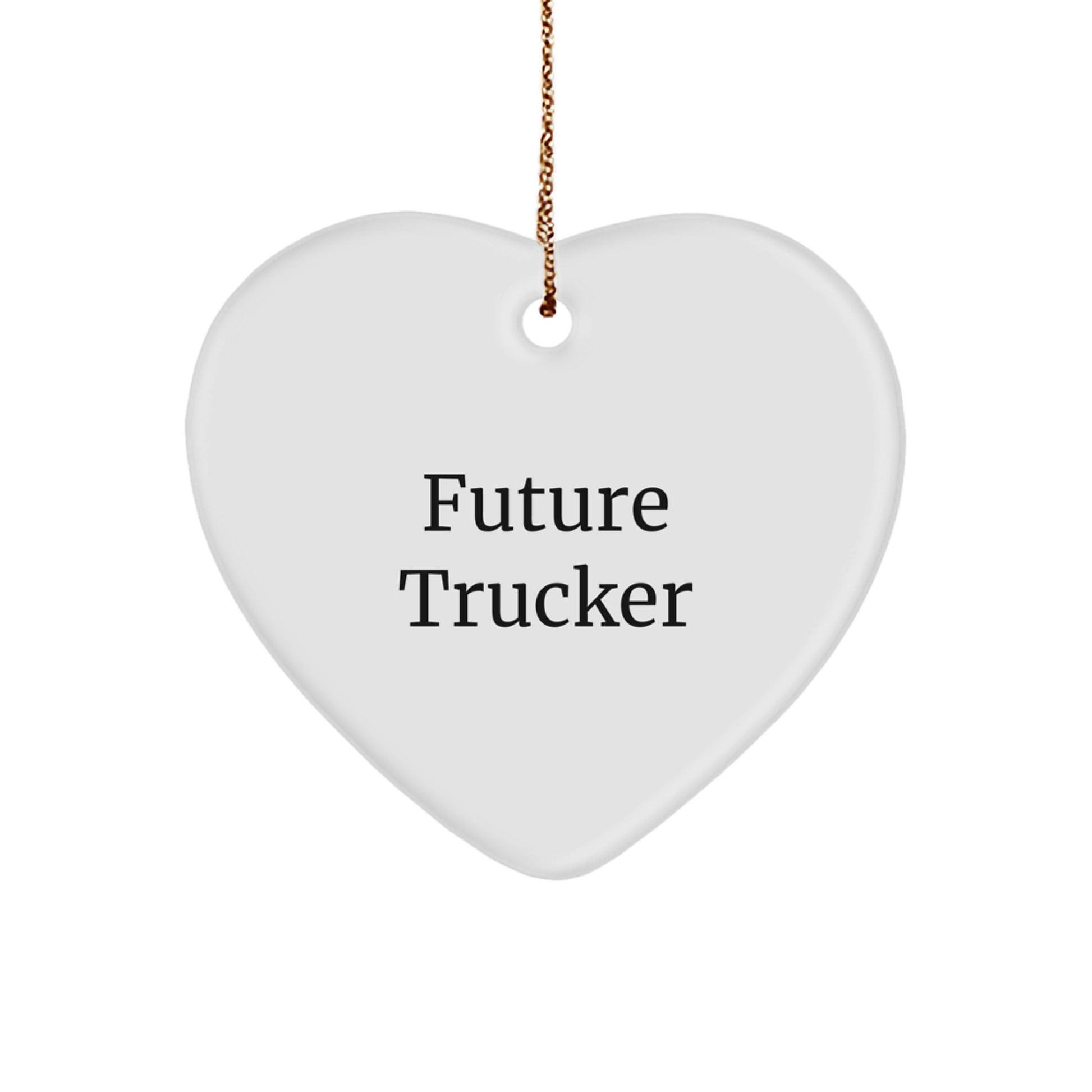 Future Trucker Quote Heart Ornament Gifts from Family for Christmas Unique Trucker Decorations - Image 1