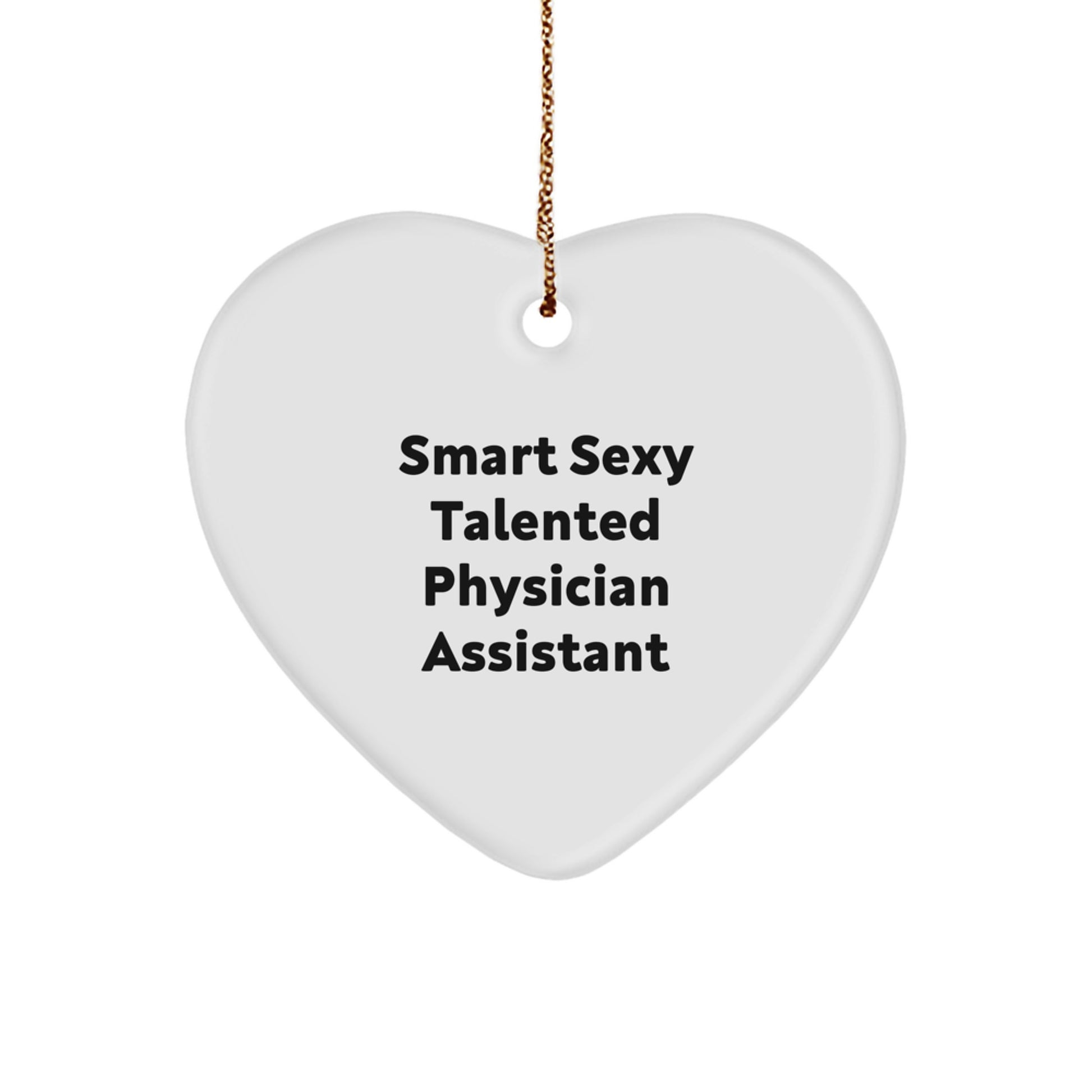 Funny Smart Sexy Talented Physician Assistant Christmas Unique Gifts for Friends, Unique Heart Ornament from Coworkers, Inspirational PA Physician Assistant Heart Gift - Image 1