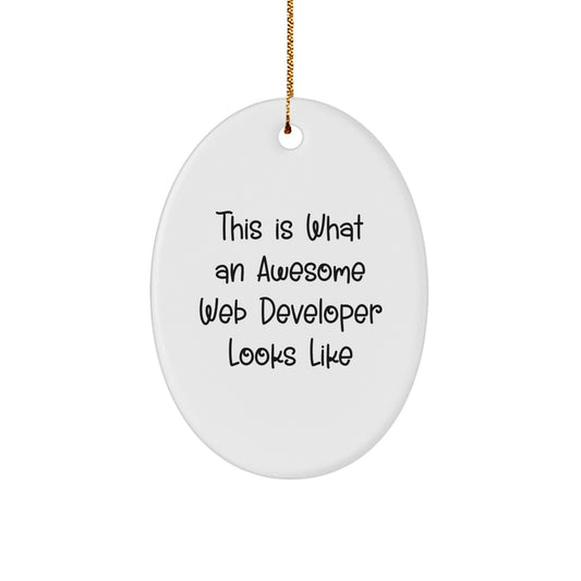 Funny Web Developer Oval Ornament Gifts from Friends for Web Developers, Christmas Unique Gifts for Men, Women, Coworkers, Family - Image 1