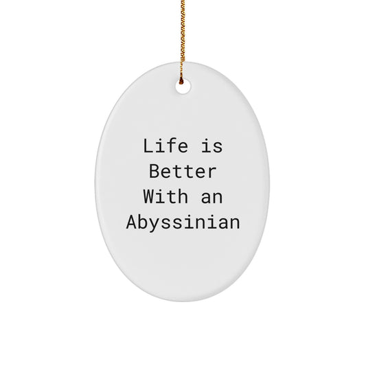 Abyssinian Cat Lover Gifts from Friends, Oval Ornament with Funny Quote Life Is Better With An Abyssinian, Unique Christmas Unique Gifts for Her or Him - Image 1