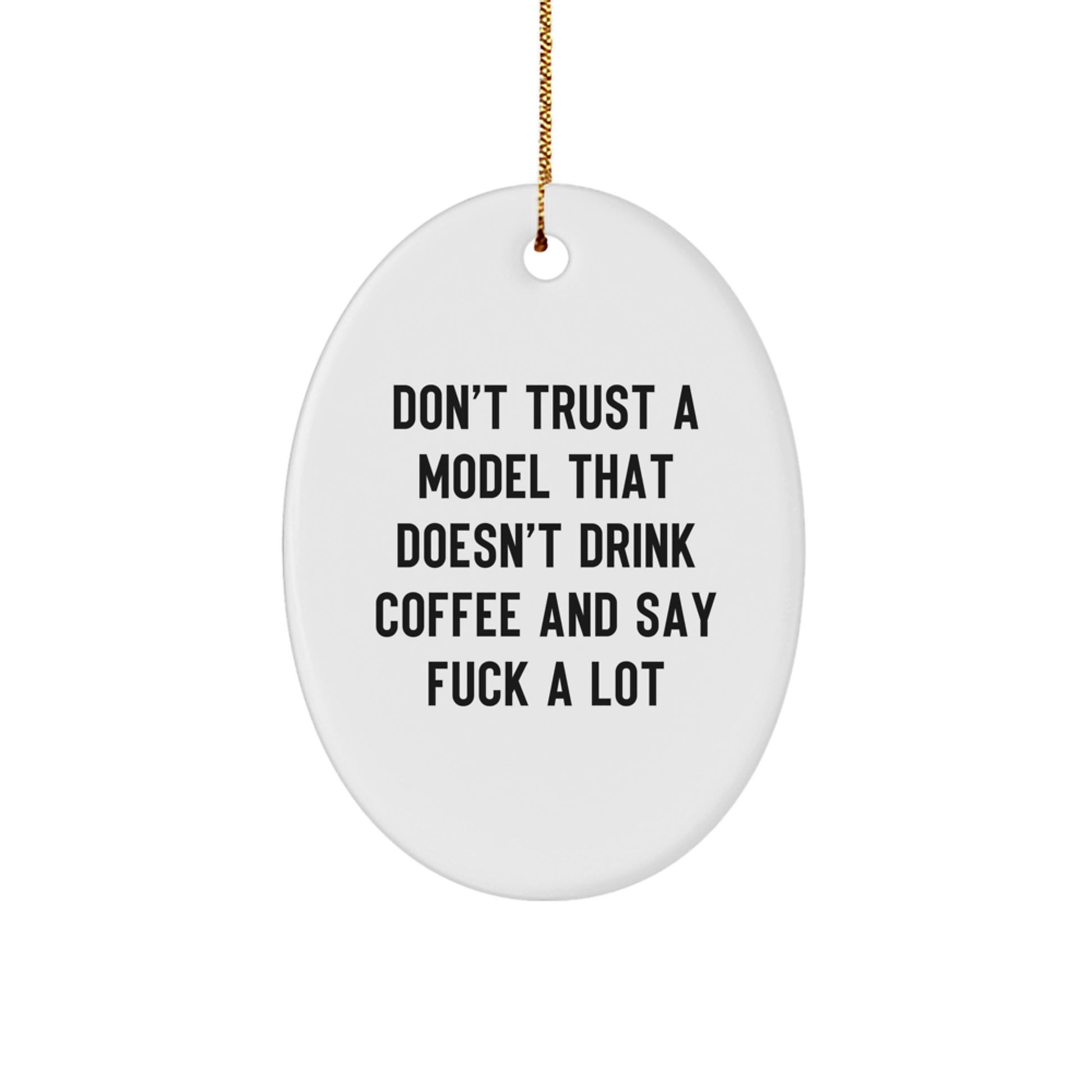 Funny Model Oval Ornament for Men, White Oval-Shaped Christmas Unique Gifts from Friends, Inspirational Quote for Model Enthusiasts, Oval Ornament Decor for Model Fans - Image 1