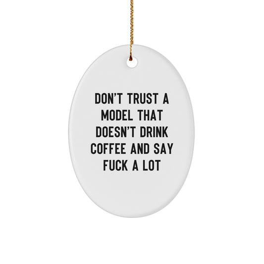 Funny Model Oval Ornament for Men, White Oval-Shaped Christmas Unique Gifts from Friends, Inspirational Quote for Model Enthusiasts, Oval Ornament Decor for Model Fans - Image 1