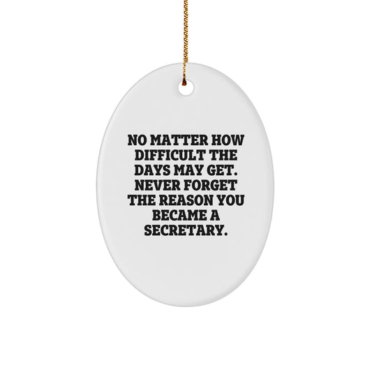 Funny Inspirational Gifts for Secretary Friends Family Christmas Oval Ornament from Men to Women Coworkers - Image 1