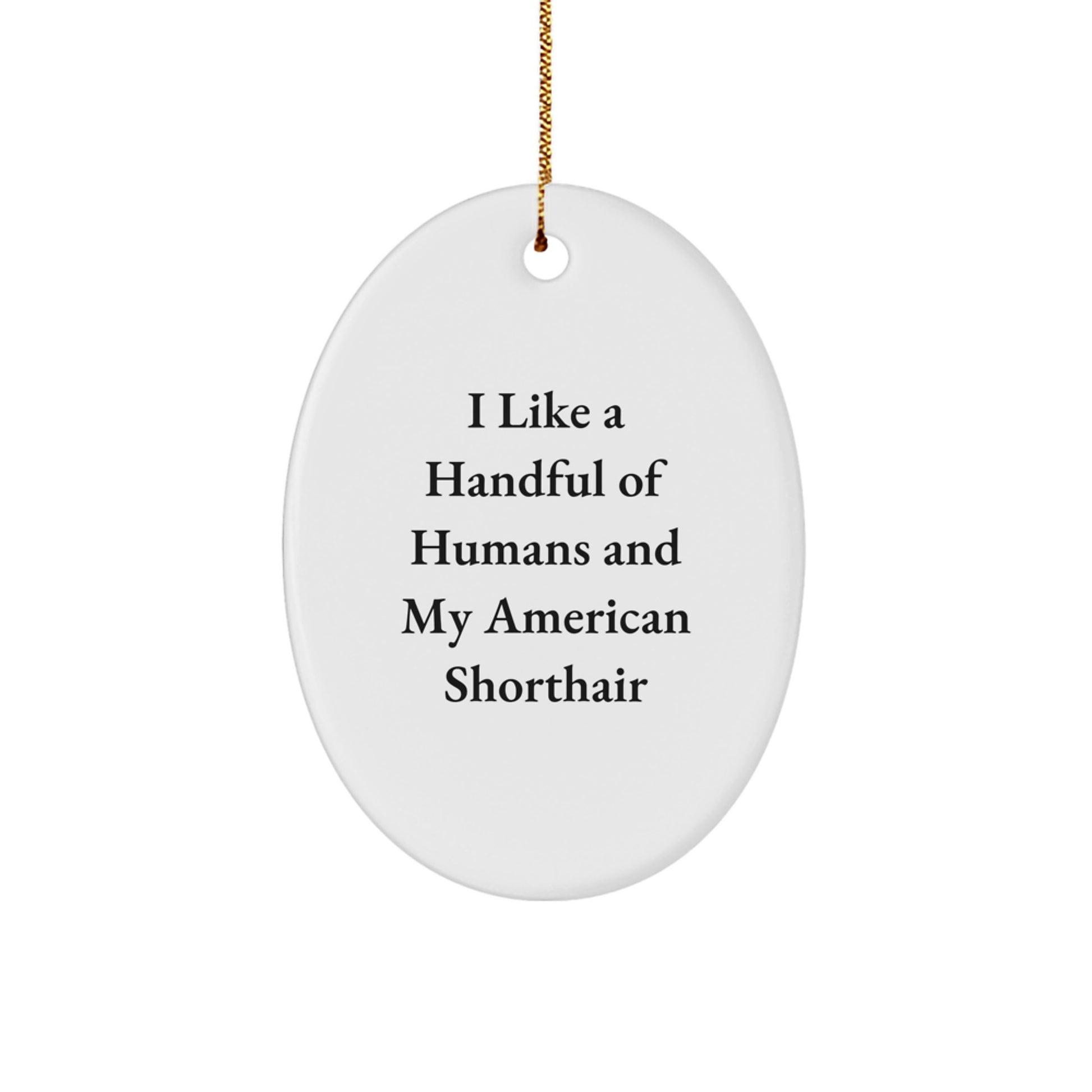 American Shorthair Cat Lovers' Christmas Unique Gift, 'I Like A Handful Of Humans' Oval Ornament, Gifts from Family to American Shorthair Cat - Image 1