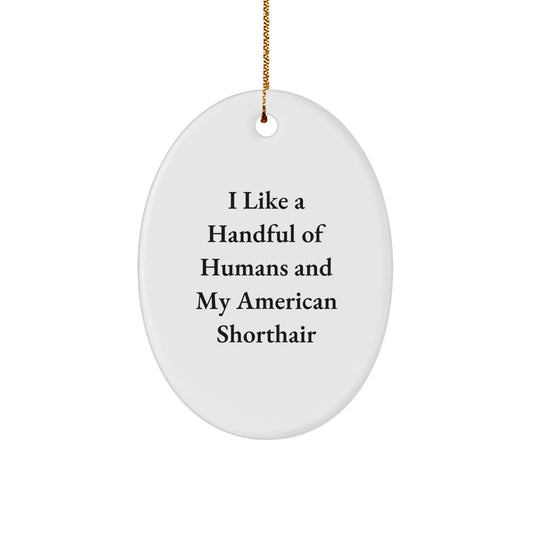 American Shorthair Cat Lovers' Christmas Unique Gift, 'I Like A Handful Of Humans' Oval Ornament, Gifts from Family to American Shorthair Cat - Image 1