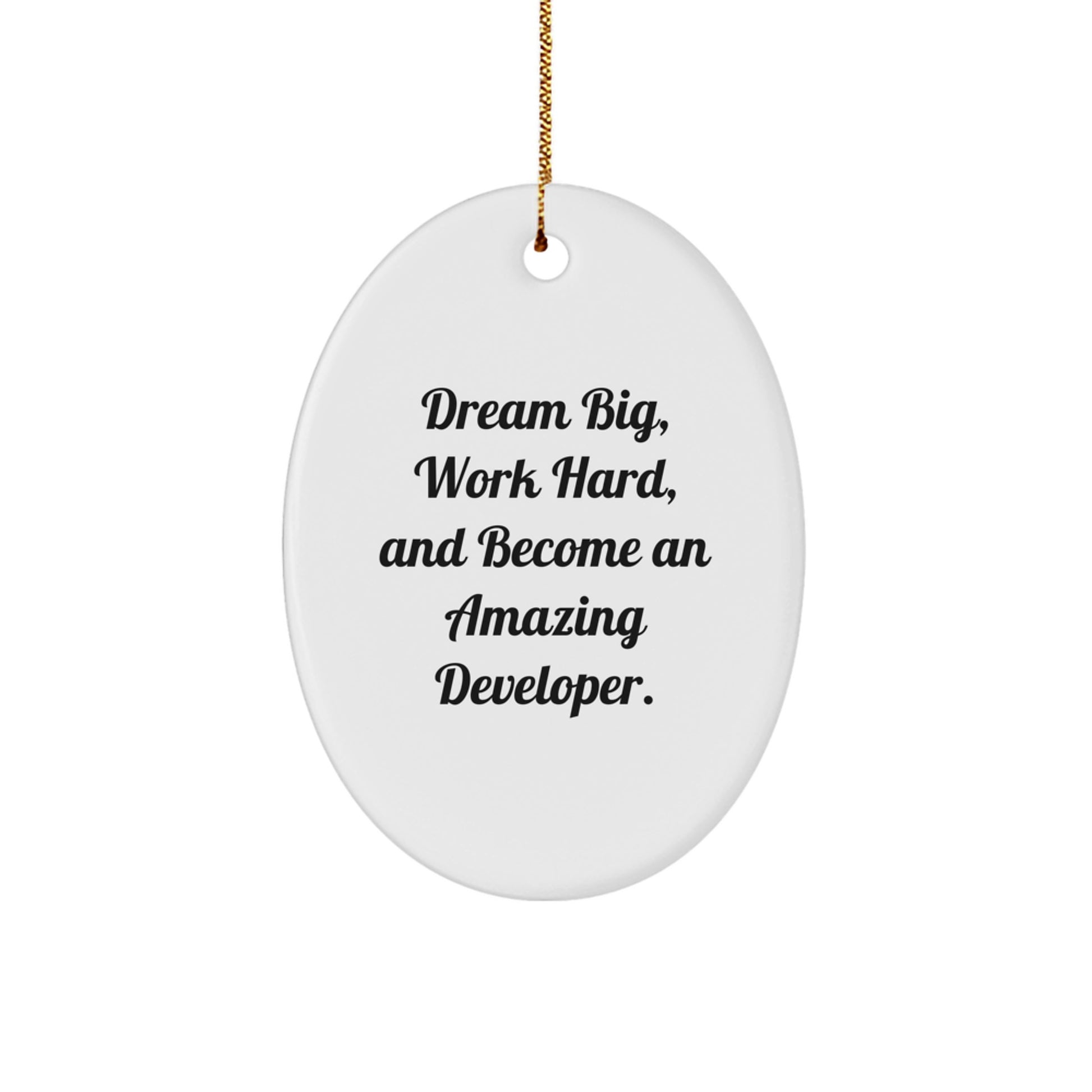 Gifts from Friends and Family for Awesome Developers - Dream Big, Work Hard, Oval Ornament for Christmas - Image 1