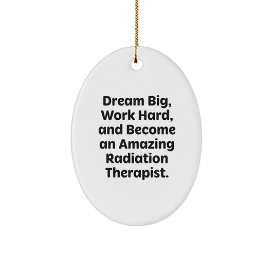 Radiation Therapist Oval Ornament Gifts from Friends for Christmas - Dream Big Work Hard - Image 1