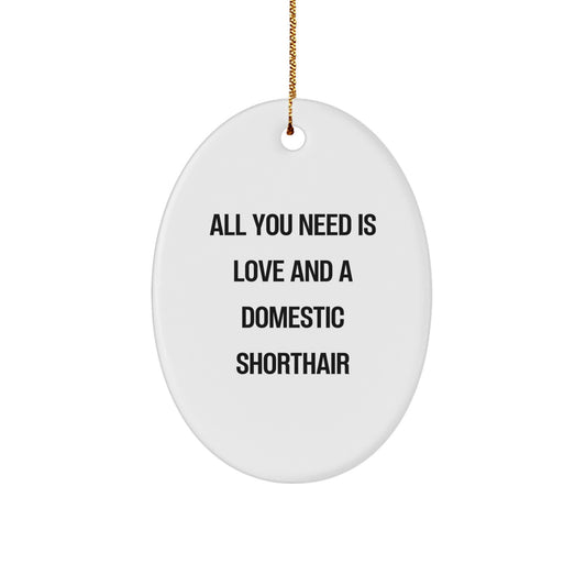 Domestic Shorthair Cat Oval Ornament Gifts from Friends to Family Christmas Unique Ornaments - Image 1