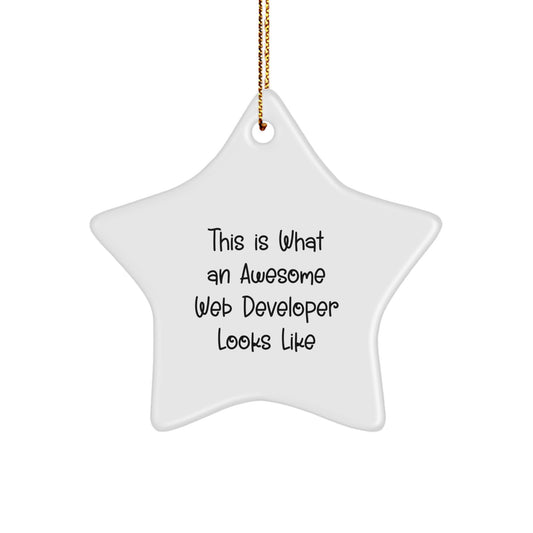 Web Developer Funny Star Ornament Gifts from Friends for Men, Women Coworkers Christmas Unique - Image 1