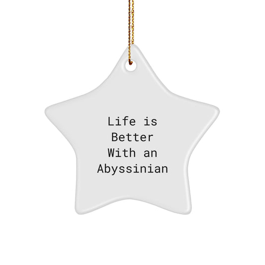 Abyssinian Cat Star Ornament, Funny Quote Gifts for Abyssinian Cat Lovers, Gifts from Family, Christmas Unique Gifts - Image 1