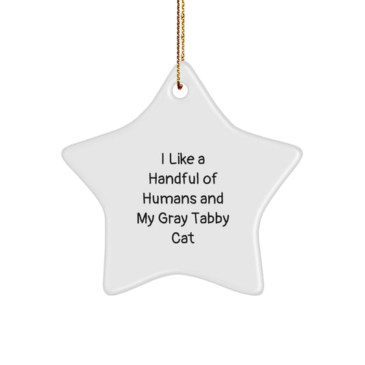 Gray Tabby Cat Star Ornament, Funny Quote Gift for Cat Lovers, White Star Shaped Decoration for Christmas Unique Gifts from Friends to Family - Image 1