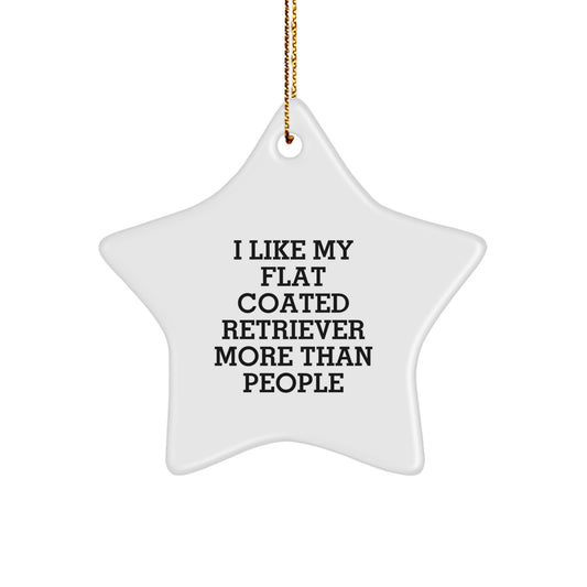 Funny Flat Coated Retriever Dog Gifts from Friends - I Like My Flat Coated Retriever More Than People Star Ornament for Christmas Unique Gifts - Image 1