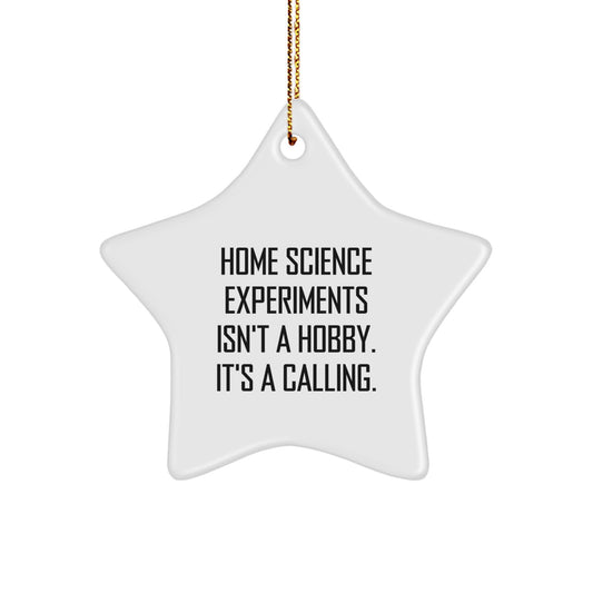 Home Science Experiments Gifts from Friends for Family - Funny Star Ornament, White, 3.25" tall - Image 1