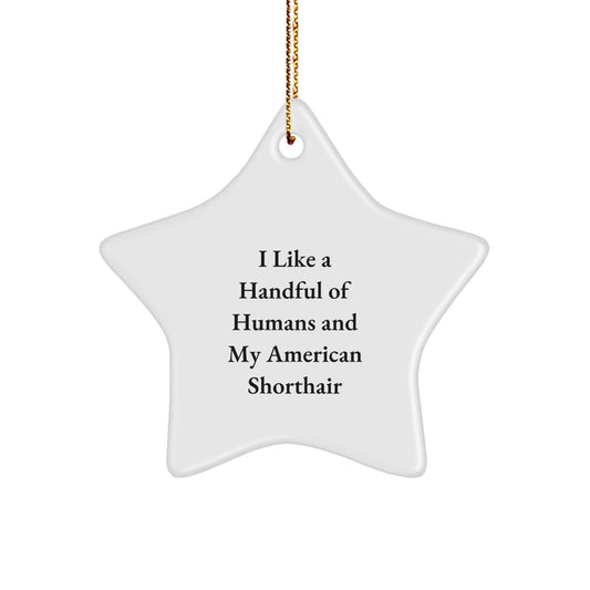 Funny American Shorthair Cat Gifts - 'I Like A Handful Of Humans And My American Shorthair' Star Ornament for Christmas, Gifts from Family to Friends - Image 1