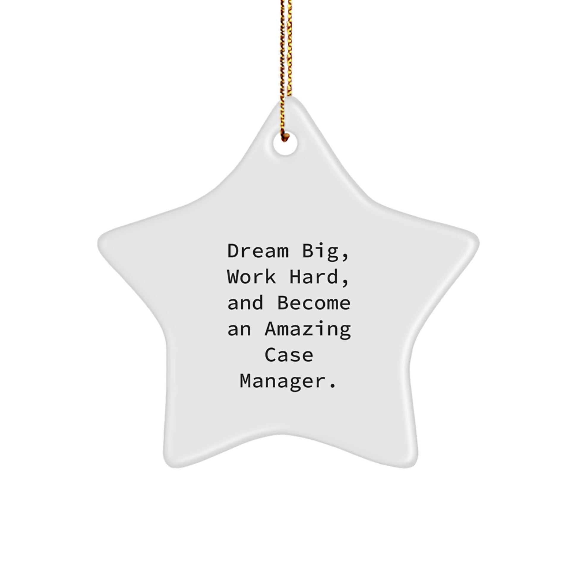 Inspirational Case Manager Star Ornament, Dream Big Work Hard Gifts from Family, Friends, or Coworkers for Case Manager Christmas Unique Decorations - Image 1