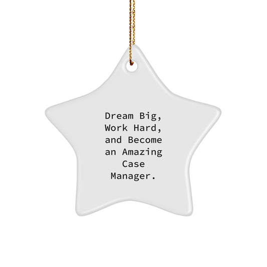 Inspirational Case Manager Star Ornament, Dream Big Work Hard Gifts from Family, Friends, or Coworkers for Case Manager Christmas Unique Decorations - Image 1