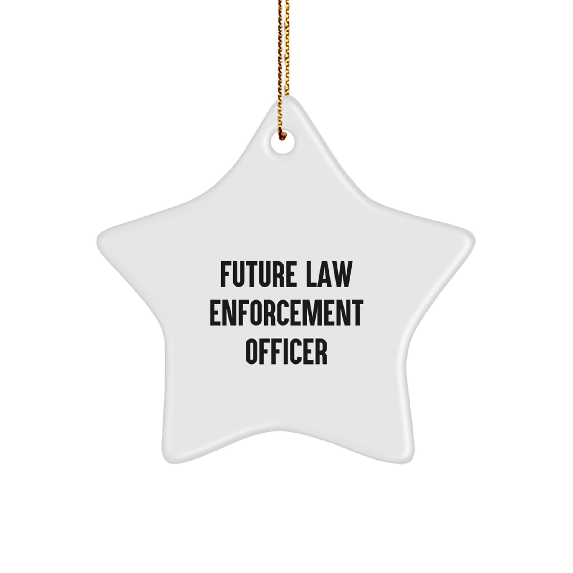 Funny Law Enforcement Officer Gifts from Men - Inspirational Star Ornament Christmas Unique Gifts for Future Law Enforcement Officers - Image 1