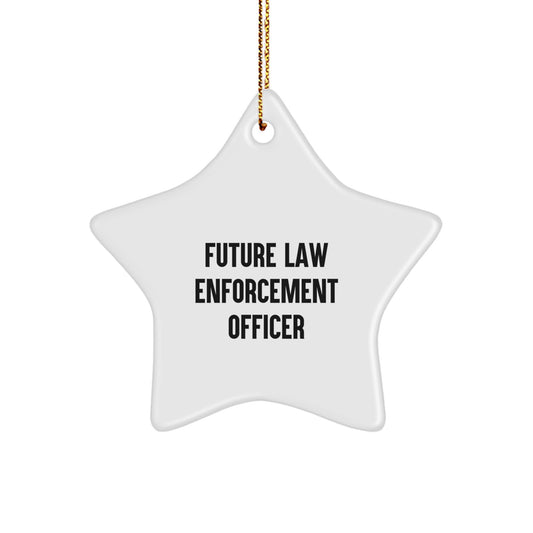 Funny Law Enforcement Officer Gifts from Men - Inspirational Star Ornament Christmas Unique Gifts for Future Law Enforcement Officers - Image 1