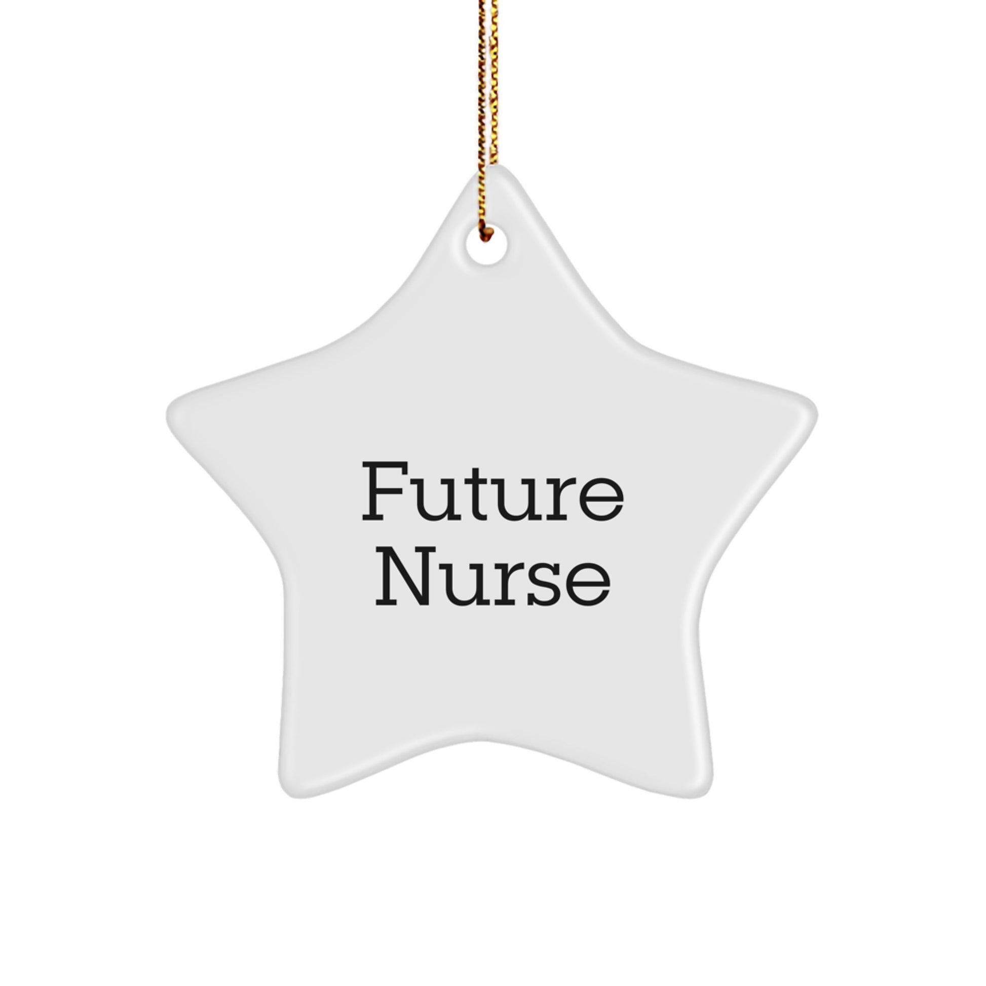 Funny Future Nurse Gifts from Family, Star Ornament Inspirational Quote for Nurses, Christmas Decorations for Nurse's Office, Home or Hospital Room - Image 1