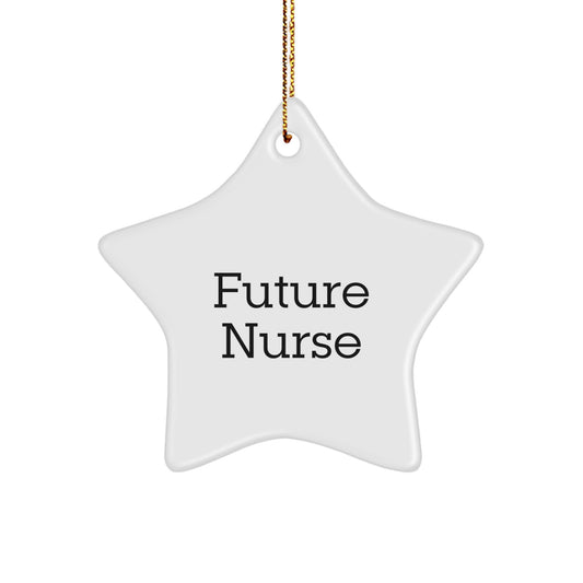 Funny Future Nurse Gifts from Family, Star Ornament Inspirational Quote for Nurses, Christmas Decorations for Nurse's Office, Home or Hospital Room - Image 1