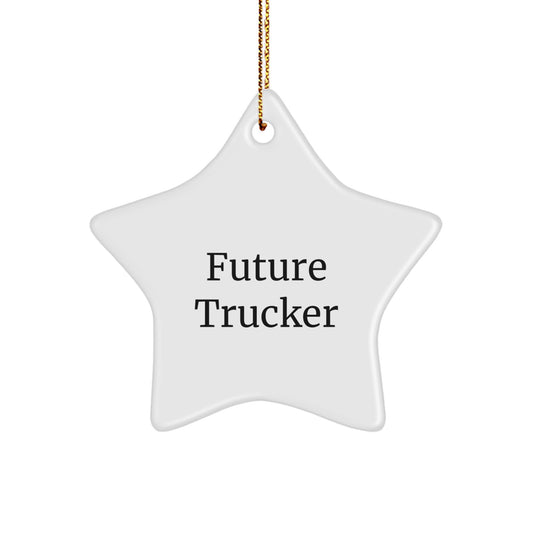 Funny Future Trucker Gifts from Family - Christmas Unique Star Ornament for Trucker Friends, Inspirational Star Shaped Decor Gift - Image 1