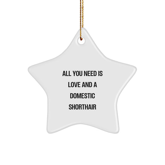 Funny Domestic Shorthair Cat Gifts for Christmas from Friends Star Ornament, All You Need Is Love And A Domestic Shorthair Star Shaped Decoration - Image 1